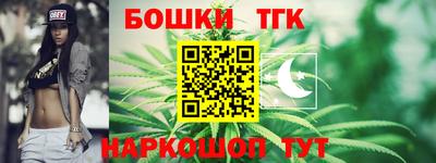 гашик Будённовск