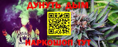 гашик Будённовск