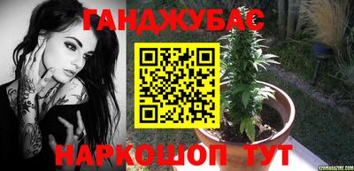 гашик Будённовск