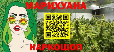 гашик Будённовск